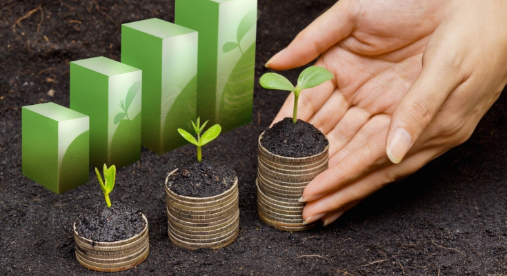 Sustainable Business Practices How Going Green Can Boost Your Brand